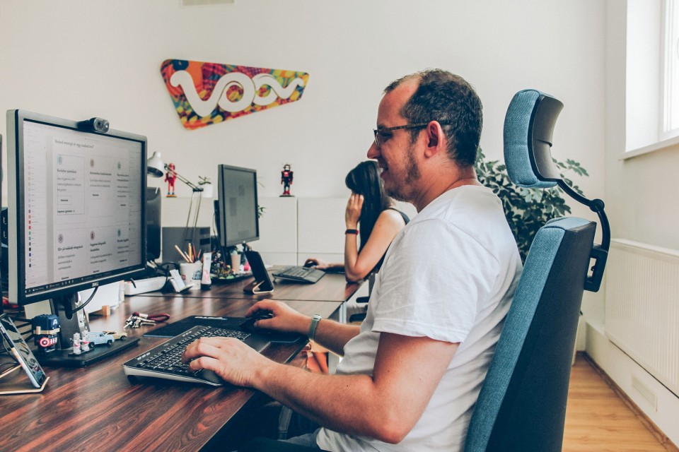 Web application and SaaS development